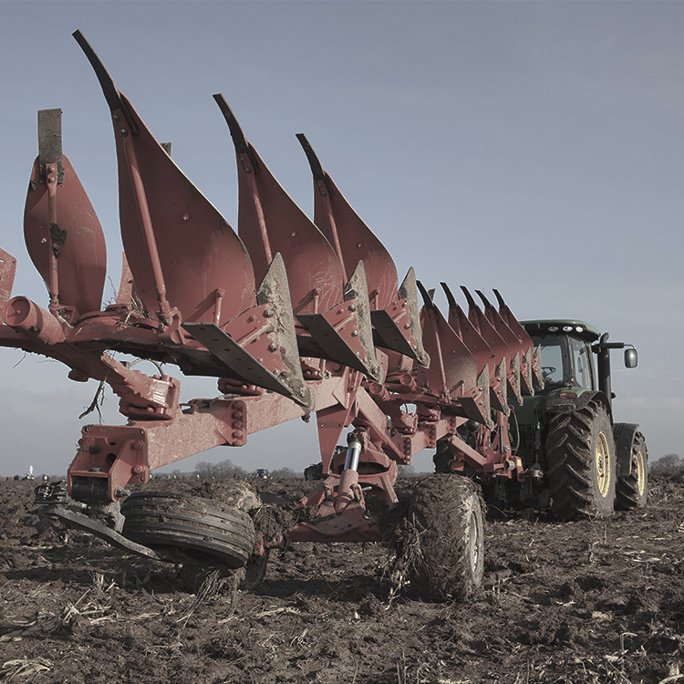 Landwirtschaft Forstwirtschaft Fischerei